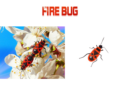 Fire Bug