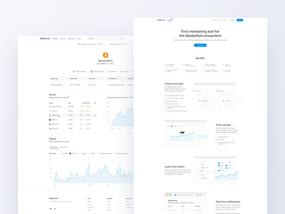 Blockchain monitoring system