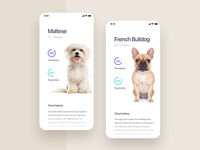 Dogz Application app application blue branding clean design digital dog gradient graphic illustration iphone logo minimal mobile round shadow typography ui ux