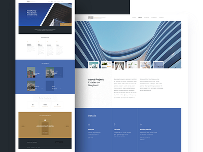 Architecture website architechture art blue clean colors design digital gold graphic landing page minimal shadow typogaphy ui ux web webside white