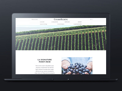 Canard-Duchêne - The house page champagne desktop ui