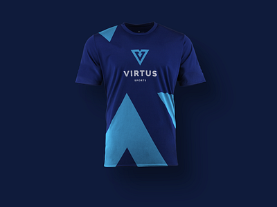 Virtus Logistics blue branding cup lime logistics logo shirt spedition sport team transport v virtus vls voila