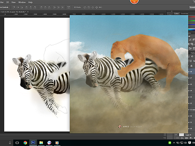 Zebra animal art digital draw paint portrait zebra