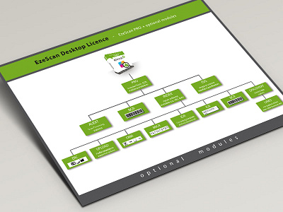Modules Diagram branding design diagram document illustration inforgraphic modules pdf product software