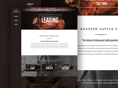 Nextgen's Cattle Co. Website bold rustic ui ux vertical navigation video website