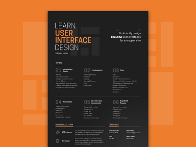 Learn UI Poster clean design layout poster simple swiss design