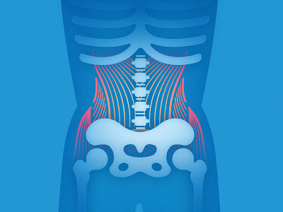 Medical animation blue body bones hips illustration medical soft spooky bones vector web