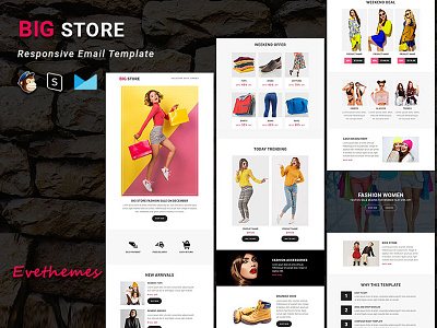 BIG STORE - Responsive Email Newsletter