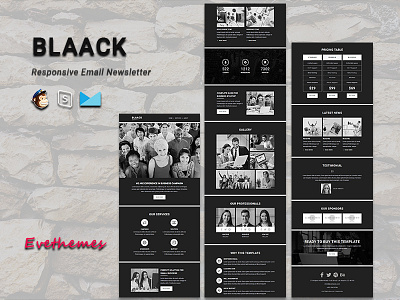 BLAACK - Responsive Email Newsletter