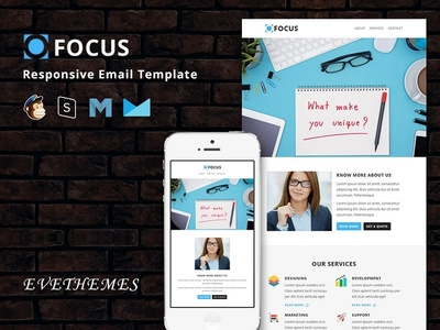 Focus - Responsive Email Template