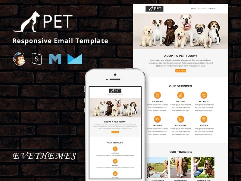 Pet - Responsive Email Template welfare veterinary pet training simple saloon promotion pet sitter pet shop pet care grooming dog club clinic newsletter email template