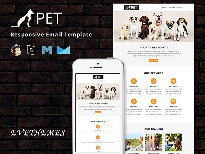 Pet - Responsive Email Template clinic club dog email template grooming newsletter pet care pet shop pet sitter pet training promotion saloon simple veterinary welfare