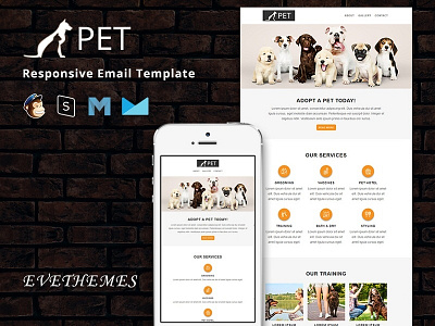 Pet - Responsive Email Template