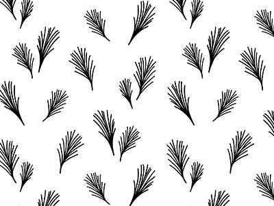 Wispy Pine black genna cowsert holiday illustration minted pine white wrapping paper