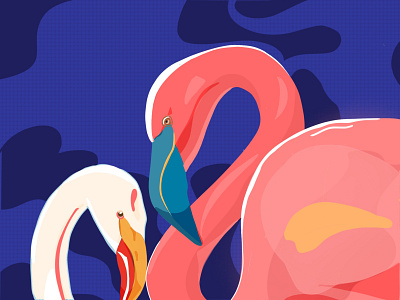 Flamingo