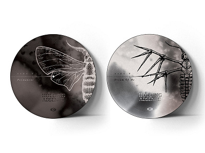 7" picture disc :: holding absence abstract design layout music texture typography vinyl