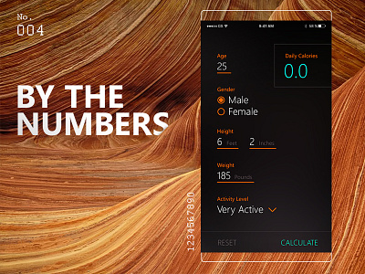 Fitness Calculator daily ui