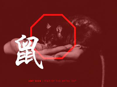 Year of the Metal Rat