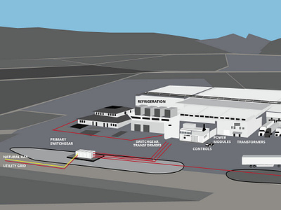 Agriculture Process Plant agriculture illustration info graph vector