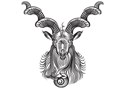 Zodiac Sign — Capricorn