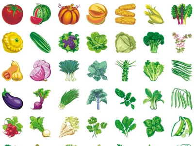 Set of flat vegetable icons