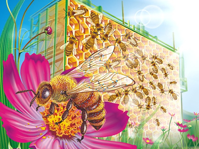 Nano bee bee collection ecologia freelance illustration nano vector