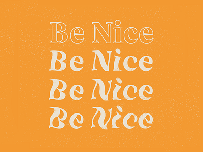 Be Nice design designer distortedtype nice serif type typography