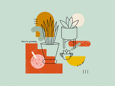 Growing 🌿 boston chandoodles growth illustration illustrator cc plants shapes texture vector