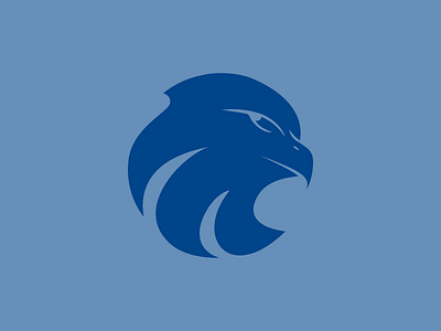 BMS Eagle eagle hawk illustration logo mark school