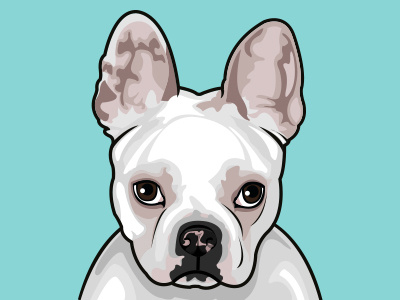 French Bulldog "Duchess" blue brown christmas dog french bulldog gift illustrator tan white