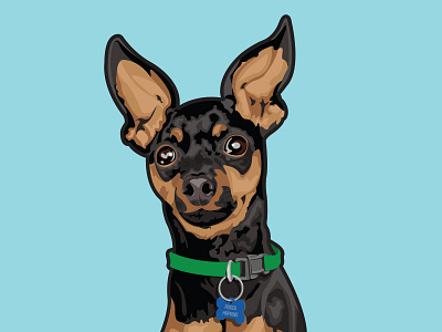 Miniature Pinscher illustration black dog dog tag illustration miniature pinscher puppy tan