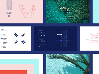 Visual direction for a Surf brand in Panama brandbook branding compass design identity illustration logo surfing wordmark