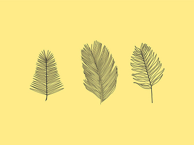 Final tropical leaves botanical branding design hand drawn illustration leaves line plants tropical vector