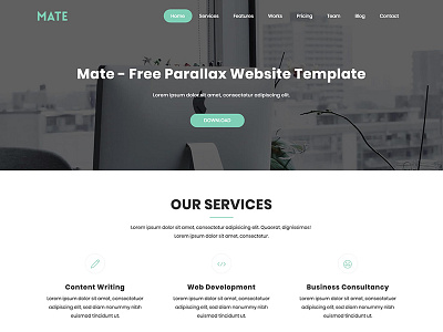 Mate - Free Parallax Bootstrap HTML Website Template agency bootstrap business freebie html parallax responsive template theme