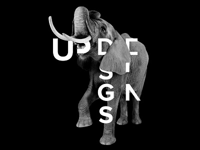 UpDesigns new look 2018 branding colour design dribbble elephant graphic illustration illustrator logo newbrand photoshop redesigned typography