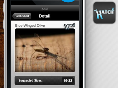 The Hatch iPhone app
