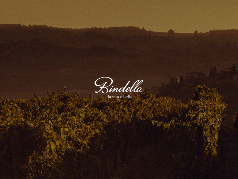 Bindella logo animation gif logo wine