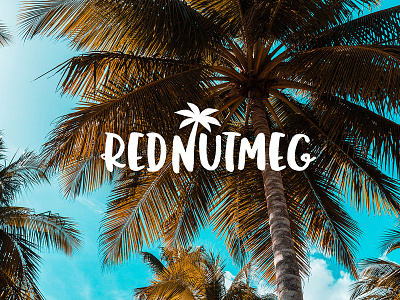 RedNutmeg Logo Design bahamas barbados beach logo caribbean caribbean logo food logo happy logo design logo designer logotype nutmeg palm tree palm trees sea sun logo sunny sunny day west indies