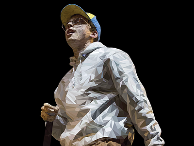 Logic Low Poly