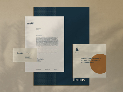 Firmus finance branding graphic design identity design