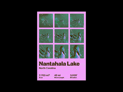 Nantahala Lake, NC Poster design duck nantahala lake north carolina poster poster design