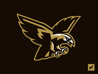 Hawk logo