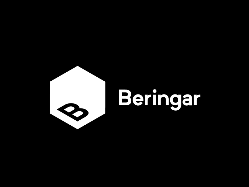 Beringar Logo Animation gif brand hexagon sensor spaces startup animation logo iot beringar
