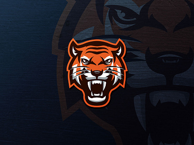Tiger Sport Team Logo animalbadge animallogo dosismemory logodesign sportlogo tigerlogo