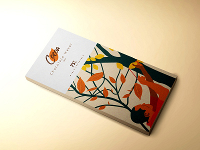 Chocolate Bar Packaging Design illustration