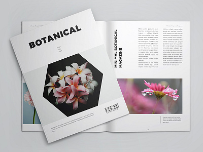 Clean Magazine Templates botanical clean elegant informational layout magazine minimal multiple professional templates