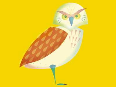 Burrowing Owl animal illustration