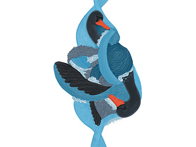 Birrarung Illustration - Colour australian digital digitalillustration handdrawn illustration swan