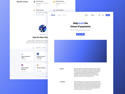 BitPay Careers Page Refresh bitcoin blockchain branding careers page crypto illustration landing page logo payment product design round ui website