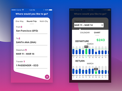 Traveling Application design designs interfacedesigner mobile travel ui